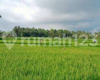 Dijual tanah di dekat Anantara ubud gianyar bali