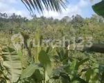 thumbnail-dijual-tanah-di-dekat-anantara-ubud-gianyar-bali-5