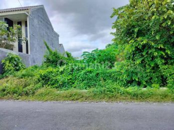 Belakang Pasar Gentan Jl Kaliurang, Tanah Murah Jogja