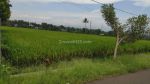 thumbnail-tanah-luas-sejuk-tengah-sawah-gunung-di-karangploso-malang-bp1185-3