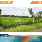 thumbnail-tanah-luas-sejuk-tengah-sawah-gunung-di-karangploso-malang-bp1185-0