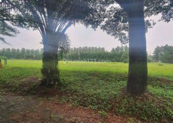 Kavling Luas Seberang Club House di Pondok Cendana Suvarna Sutera