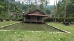 thumbnail-di-jual-tanah-plus-vila-murah-jarang-ada-8