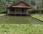 thumbnail-di-jual-tanah-plus-vila-murah-jarang-ada-0