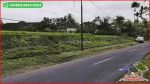 thumbnail-dijual-persawahan-datar-12000-m2-pinggir-jalan-aspal-1