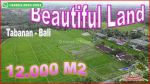 thumbnail-dijual-persawahan-datar-12000-m2-pinggir-jalan-aspal-0