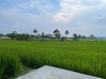 thumbnail-tanah-sawah-produktif-cigadung-kng-shm-10