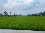 thumbnail-tanah-sawah-produktif-cigadung-kng-shm-1