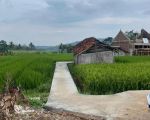 thumbnail-tanah-sawah-produktif-cigadung-kng-shm-14