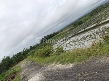 TOP URGENT DI JUAL TANAH LOSS PANTAI VIEW LAUT LOKASI KELATING KERAMBITAN