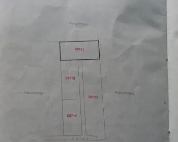 Tanah murah di trucuk triwidadi pajangan bantul yogyakarta