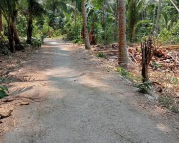 Tanah pekarangan murah di Ngestiharjo Wates di jual murah