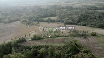 Tanah Jl Utama Pantai Klecung Sahaja Sawah Resort The Next Canggu