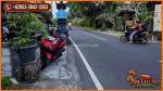 thumbnail-550-m2-lahan-di-sukawati-siap-bangun-untuk-hunian-4