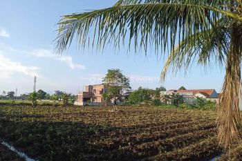 Tanah Murah Dekat Kampus Ipb. SHM Perunit