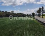 thumbnail-tanah-kavling-di-ketewel-gianyar-view-sawah-dekat-pantai-7