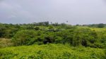 thumbnail-dijual-tanah-di-ubud-view-cantik-jungle-lembah-dan-sungai-0