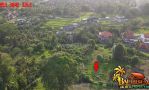 thumbnail-tanah-lingkungan-villa-dijual-6-are-dengan-view-hutan-alami-9