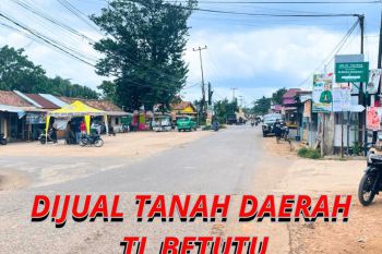 Jual Tanah Kapling Siap Bangun Lokasi Tl Betutu Dkt SMK Penerbangan