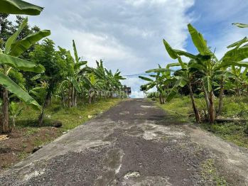 Dijual Tanah 5,25 Are Lingkungan Asri Dekat Pantai Soka, Tabanan