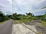 thumbnail-dijual-tanah-525-are-lingkungan-asri-dekat-pantai-soka-tabanan-1