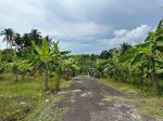 thumbnail-dijual-tanah-525-are-lingkungan-asri-dekat-pantai-soka-tabanan-2