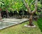 thumbnail-rent-rumah-villa-for-rent-4