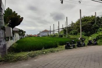 Rent land shortcut Canggu luas 30 are yellow zone.