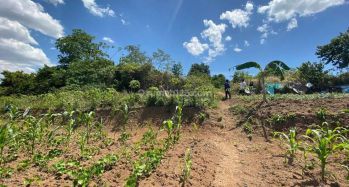 Tanah Kosong Cocok Untuk Perumahan Di Serang Banten