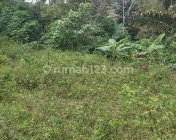 Tanah industri Raya bypass gempol dijamin termurah