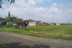 thumbnail-tanah-super-luas-di-jl-sidodadi-kebonangung-kab-malang-2