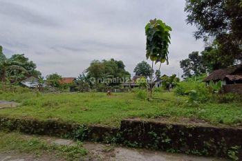 Jual Tanah Jogja Dekat Candi Plasoan 3 Juta Lokasi Nyaman