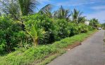 thumbnail-tanah-kebun-seluas-21-are-berserta-bangunan-diatasnya-8m-x-20m-berlokasi-di-3