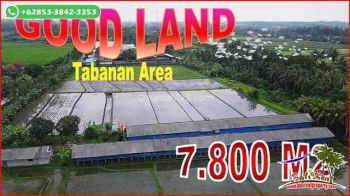 Kerambitan Tabanan 7,800 M2 Persawahan Dijual Murah