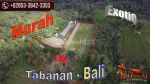 thumbnail-1-ha-tanah-di-pupuan-dijual-murah-cocok-untuk-investasi-property-0