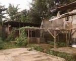 thumbnail-di-jual-tanah-area-cihaul-babakan-bandung-sukabumi-5