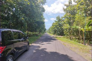 Kapling Salamrejo JL. Jogja Wates, SHM