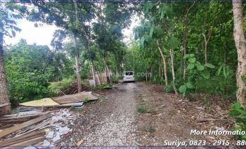 Tanah Jogja Piyungan Siap Bangun 1 Jutaan Dekat Sdn 1 Piyungan