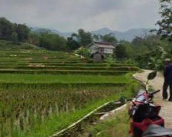 Tanah sawah rata untuk villa+gazebo view lepas ke gunung