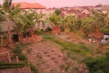 Rent land 9 are yellow zone Canggu tibubeneng