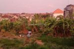 thumbnail-rent-land-9-are-yellow-zone-canggu-tibubeneng-3