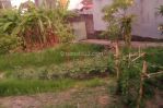 thumbnail-rent-land-9-are-yellow-zone-canggu-tibubeneng-4