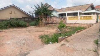 tanah murah lokasi pakjo