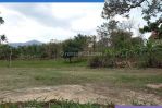 thumbnail-best-deal-rumah-asri-view-kota-sindanglaya-bandung-214h5-1