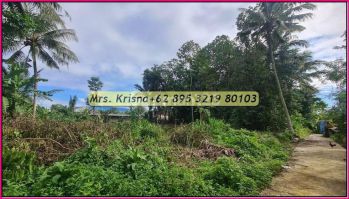 Tanah Jogja Sleman 1jtan View Merapi Dan Sawah Jl.kaliurang Km14