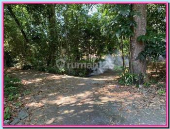 Cari Tanah 500m Jl Manisrenggo, di Manisrenggo