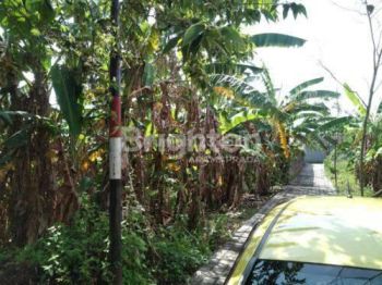 Jual Tanah 3 Are Kediri Tabanan