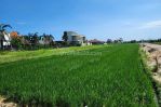 thumbnail-tanah-9-are-view-sawah-dan-sunset-lingkungan-villa-jalan-cemagi-1