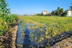 thumbnail-tanah-9-are-view-sawah-dan-sunset-lingkungan-villa-jalan-cemagi-0