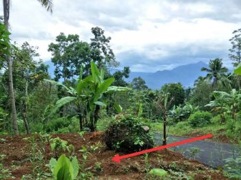 Tanah Hoek Blotongan Salatiga Depan UKSW